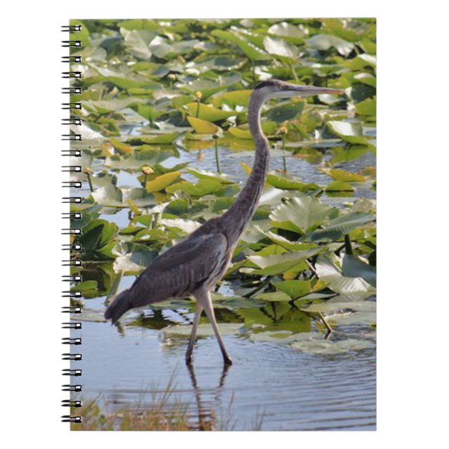 Great Blue Heron Notebook (Front)