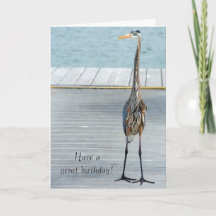 Great Blue Heron on dock Card