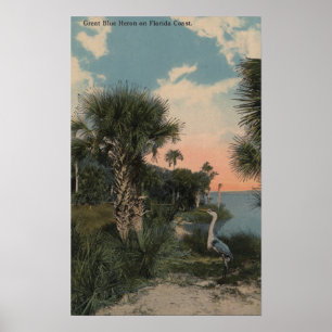 Great Blue Heron on Florida Coast Beach Poster