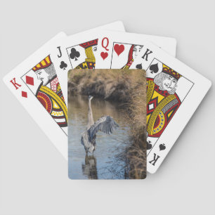 Great Blue Heron on the Water Playing Cards