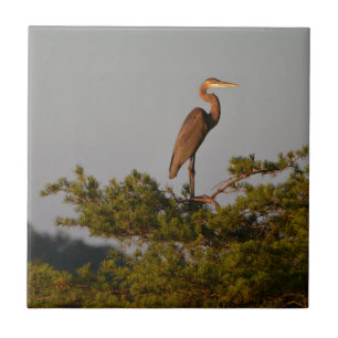 Great Blue Heron On Tree Top Ceramic Tile