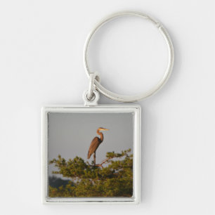 Great Blue Heron On Tree Top Key Ring