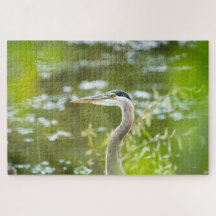 Great Blue Heron Pacific Northwest