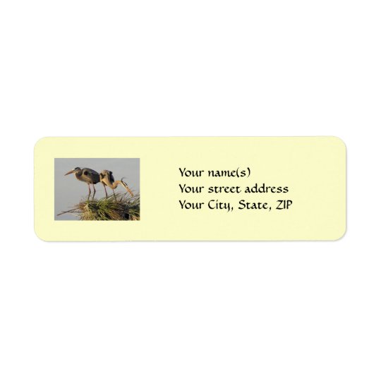 Great Blue Heron Pair on the Nest Return Address Label