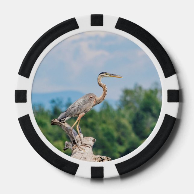 Great Blue Heron Poker Chips (Front)