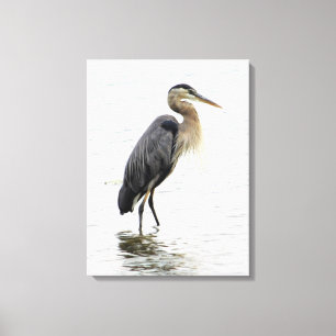 Great Blue Heron Portrait Canvas Print