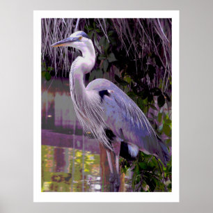 Great Blue Heron Poster