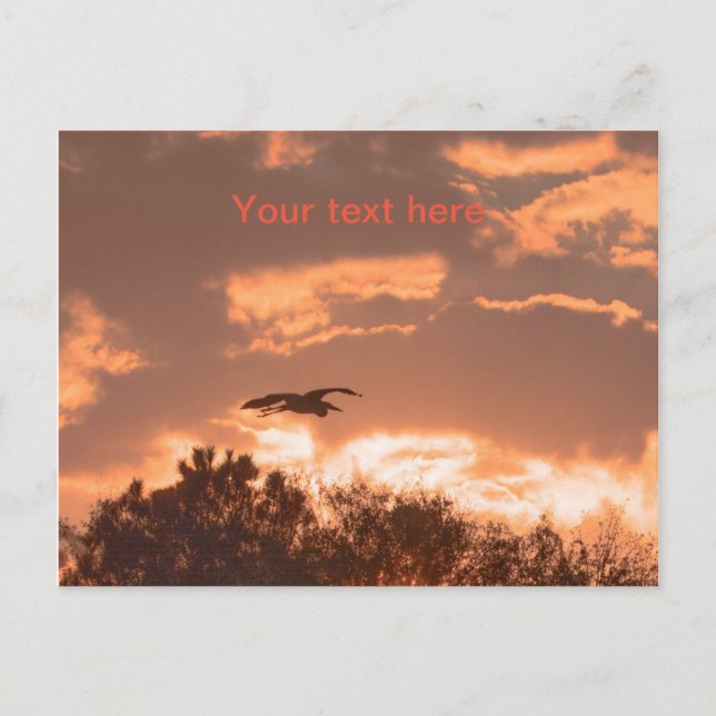 Great blue heron silhouette in flight at sunset postcard (Front)