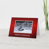 Great Blue Heron Snow Photo Christmas