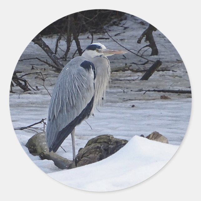 Great Blue Heron Snow Photo Classic Round Sticker (Front)
