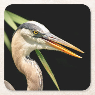 Great Blue Heron Square Paper Coaster