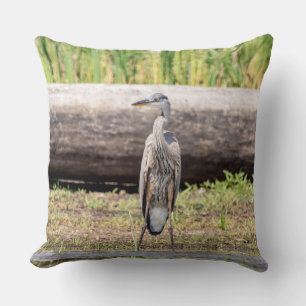 Great Blue Heron standing in Lake Champlain Cushion