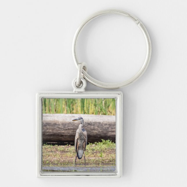 Great Blue Heron standing in Lake Champlain Key Ring (Front)