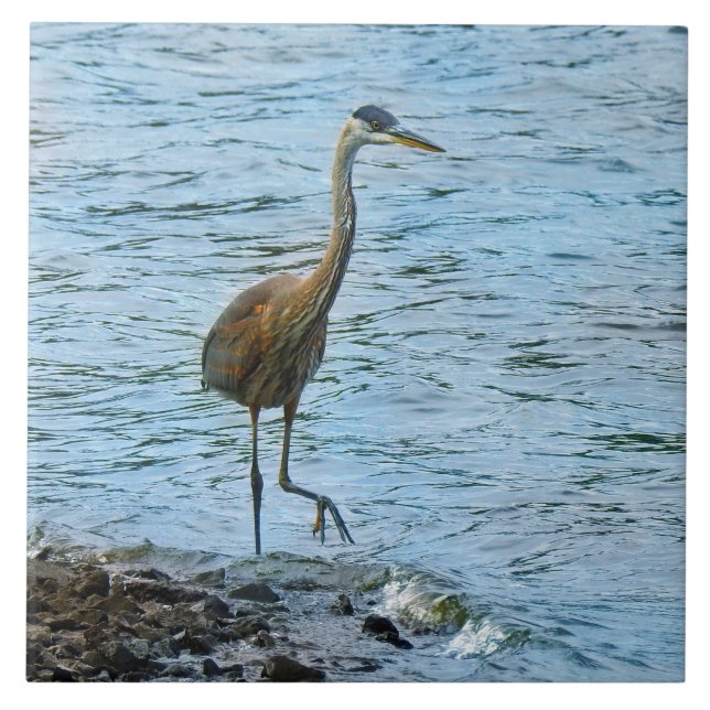 Great Blue Heron Standing in the Water Ceramic Tile (Front)