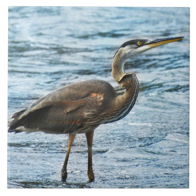 Great Blue Heron Standing in the Water Ceramic Tile (Front)