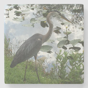 Great Blue Heron Stone Coaster