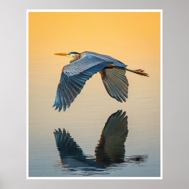 Great Blue Heron Wall Art | Bird Reflection Print (Front)
