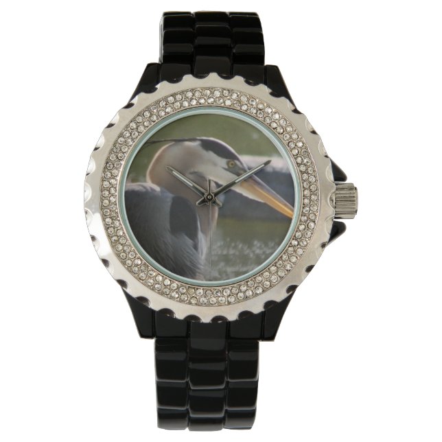 Great Blue Heron Watch (Front)