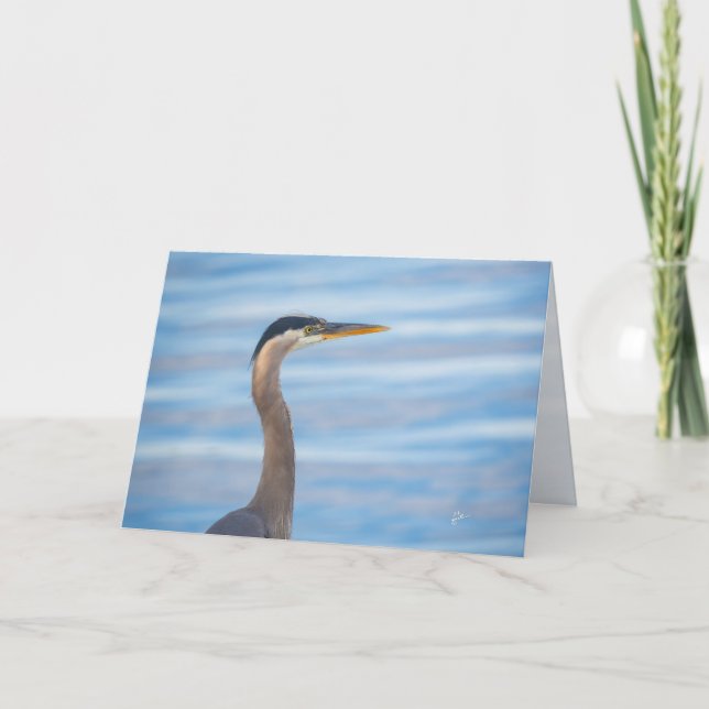 Great Blue Heron Wildlife Bird Photography Blank Holiday Card (Front)