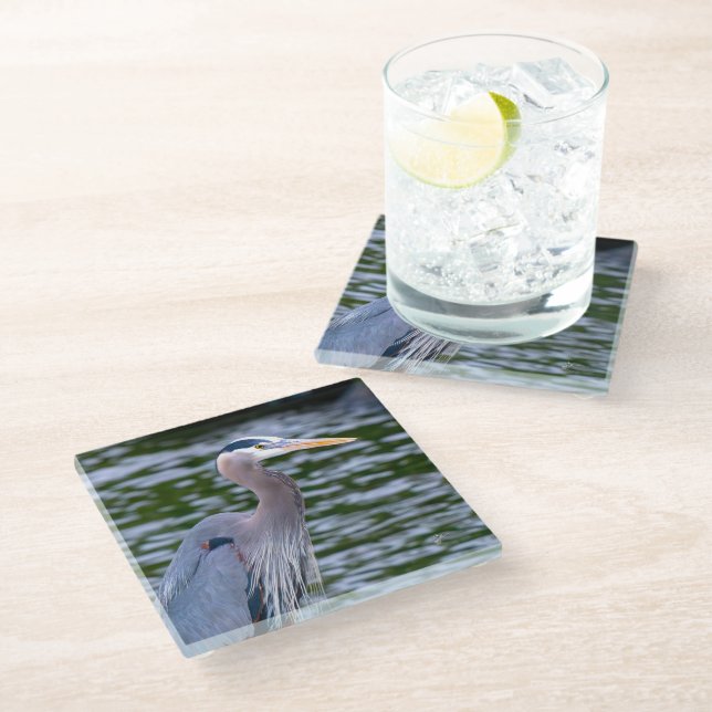 Great Blue Heron Wildlife Bird Photography Glass Coaster (Angled)