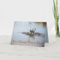 Great Blue Heron Wings Spread on Water