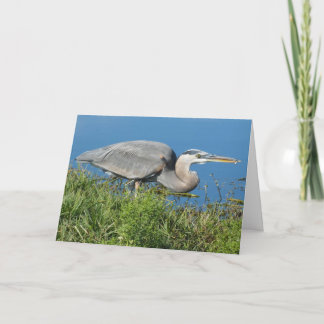 "Great Blue Heron with Fish 1." Greeting Card