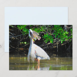 Great Blue Heron's Lunch Flat Card