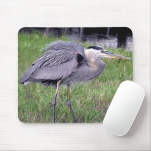 Great Blue Heron's Territory Mouse Pad