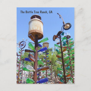 Great Bottle Tree Ranch Postcard! Postcard
