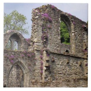 Great Britain, United Kingdom, Scotland. Ruins 2 Ceramic Tile