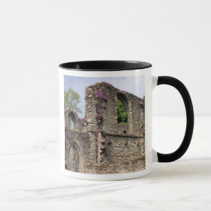 Great Britain, United Kingdom, Scotland. Ruins 2 Mug