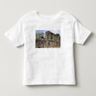 Great Britain, United Kingdom, Scotland. Ruins 2 Toddler T-Shirt