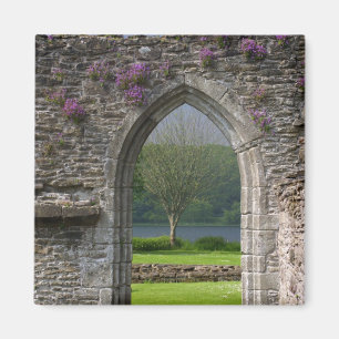 Great Britain, United Kingdom, Scotland. Ruins Magnet