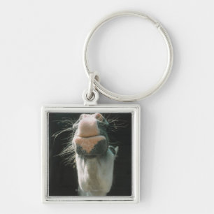 Great Britian Key Ring