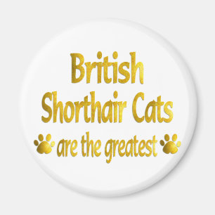 Great British Shorthair Magnet