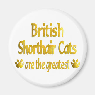 Great British Shorthair Magnet