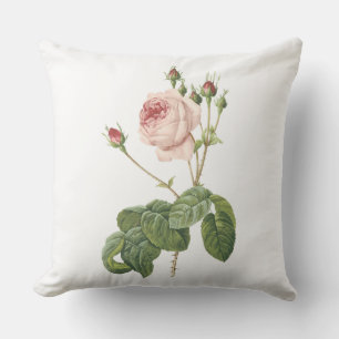 great cabbage-leaved rose by Redouté Outdoor Cushion