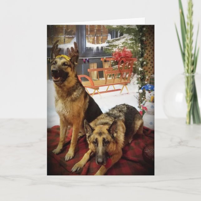 GREAT CARD FOR ANY WHO CARES FOR YOUR DOG (Front)