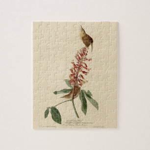 Great Carolina Wren - Audubon's Birds of America Jigsaw Puzzle