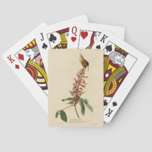 Great Carolina Wren - Audubon's Birds of America Playing Cards