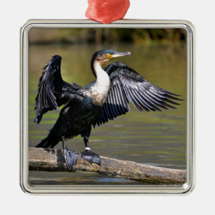 Great Cormorant with opened wings Metal Ornament
