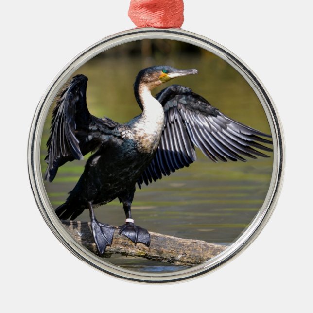 Great Cormorant with opened wings Metal Tree Decoration (Front)