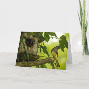 Great Crested Flycatcher Card