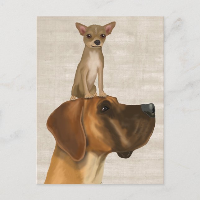 Great Dane and Chihuahua 2 Postcard (Front)