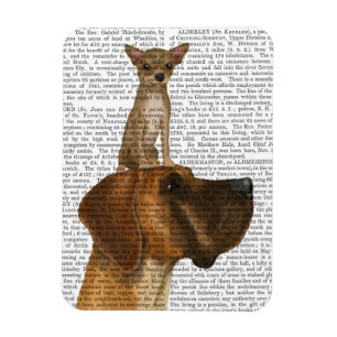 Great Dane and Chihuahua Magnet