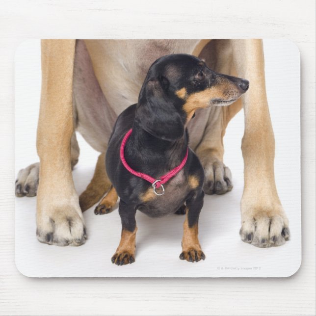 Great Dane and Dachshund portrait Mouse Pad (Front)