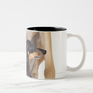 Great Dane and Dachshund portrait Two-Tone Coffee Mug