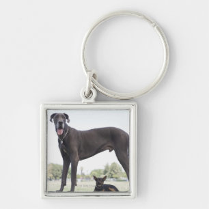 Great dane and small mixed-breed dog key ring