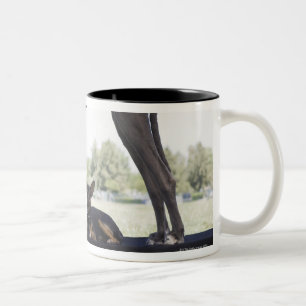 Great dane and small mixed-breed dog Two-Tone coffee mug