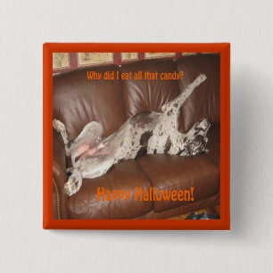 Great Dane Ate Too Much Halloween Candy 15 Cm Square Badge